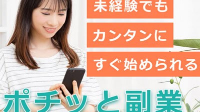 ポチっと副業の基本概要