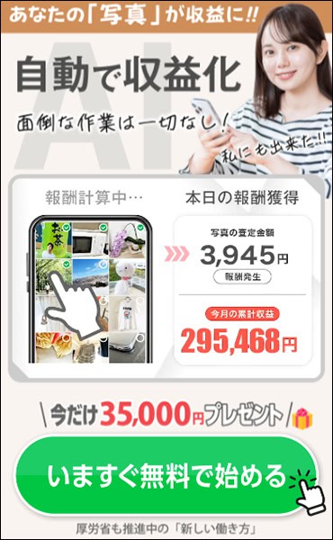 株式会社ランスの副業とは1