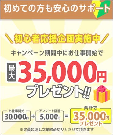 株式会社ランスの副業とは2