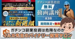 イルカ先生のガチンコ副業投資を検証
