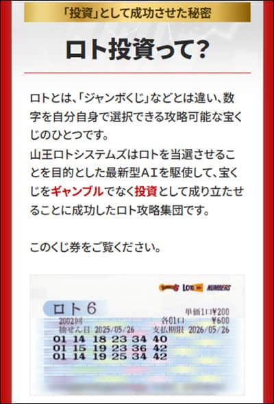 山王ロトシステムズの投資内容