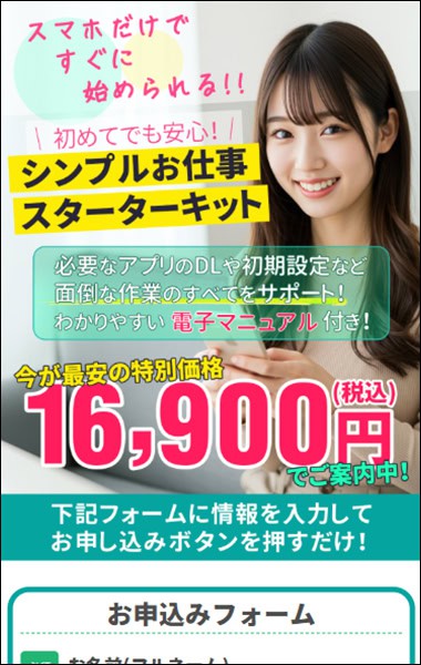 次世代副業システムの初期費用