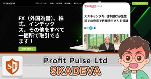 SKADEVAは投資詐欺か検証